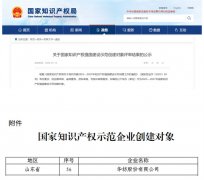 公司獲國家知識(shí)產(chǎn)權(quán)強(qiáng)國建設(shè)示范企業(yè)創(chuàng)建對(duì)象